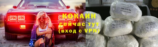 амф Каменка