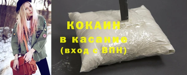 амф Каменка