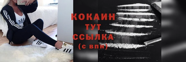 амф Каменка