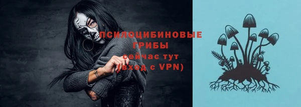 ALPHA PVP Каменногорск