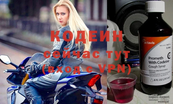амф Каменка
