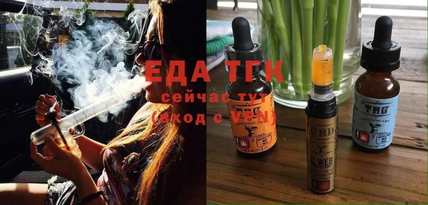 амф Каменка