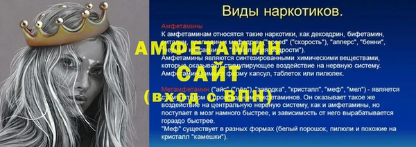 амф Каменка
