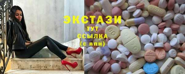 амф Каменка