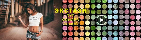 амф Каменка