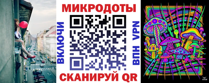 Купить  Арск  Псилоцибиновые грибы Psilocybe 